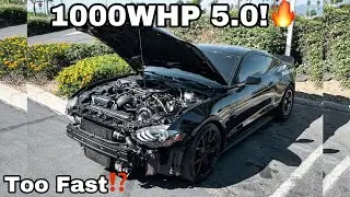 BUILDING A 1000WHP 5.0! #Ford #Mustang #GT