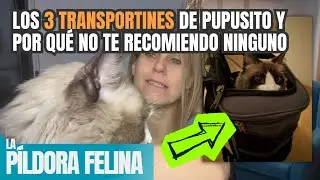 Los 3 TRANSPORTINES de Pupusito y por qu&eacute; no te recomiendo ninguno || 550