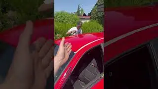 Jedes Autodach muss Schwarz!