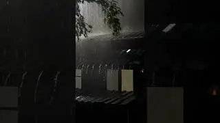 Sleep Instantly with Heavy Rainstorm & Rain Sounds for Sleeping