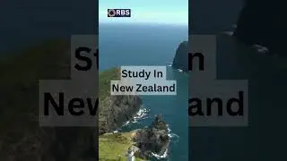 Kiwi Culture and Maori Traditions | Study in New Zealand Guide 🇳🇿 #studyvisa