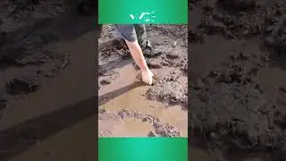 Ak-47 Mud Test #shorts #youtubeshorts #yearofyou #viral