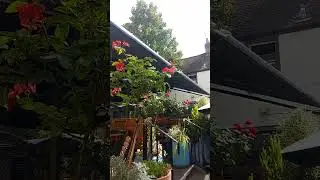 Turf tavern 
