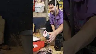 Elisha fish Cutting|Elisha fish cutting skills|Elisha fish Cutting kalkata|California fish grill|