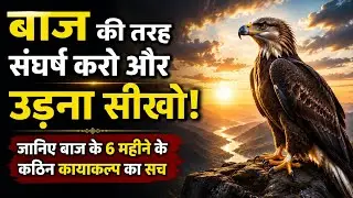 एक बाज की इन तीन बातों को ध्यान में रखना, सफलता कदम चूमेगी, और जीवन में कभी भी दुखी नहीं रहोगे।