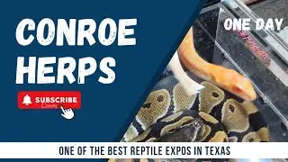 Conroe One Day HERPS Show | January 2026