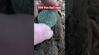 UK Penny 1910 #youtubeshorts #metaldetecting #equinox800 #fyp #english #newzealand #youtube