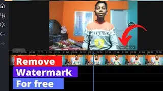 How To Remove Watermark in Powerdirector For free|PXD
