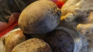 LET'S MAKE SOME BEETROOT & SORREL WITH GINGER 🫚 JUICE FOR OUR DINNER 🍽 PARTY 🥳 TOMORROW 😋