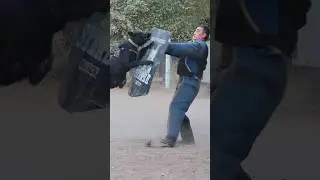 ATTACK of a black German Shepherd. Bodyguard dogs. Dog training. GUARD. Odessa. Ukraine.