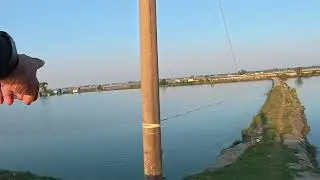 সঠিক তথ্য টি নিন | Gram Path Diaries I GPD #fishing #vlog #travel #farming #fish #villagelife