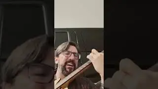 Babylon Sisters #steelydan #gaucho #yachtrock #rock #fingerstyleguitar #crooner #epiphoneguitar