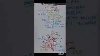 axillary artery notes free crash course anatomy #anatomy #free #education #mbbs #exam #doctor #bhms