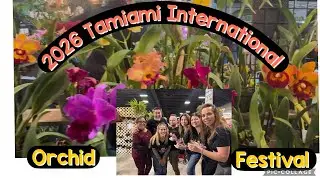 2026 Tamiami International Orchid Festival Part 1 - Best, biggest, 100+Vendors