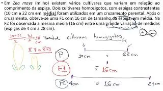 Resolução de exercícios - Genética quantitativa (I)