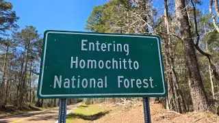 Found a Free Camp at Homochitto