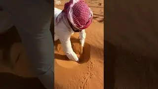 Unbelievable Discovery in the Desert 😱 | (@asd141423) @Teluguufun  #viralvideo