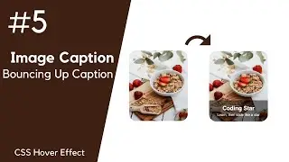 CSS Image Caption Tutorial #5 - Bounce Up Caption Animation
