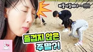 이번 주말은 즐겁지 않은것 같습니다.. 왜일까요?ㅣ토깽이네상상놀이터RabbitPlay