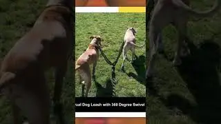 Dual Dog Leash || 2023 😃 🔥 #aboundpetsupplies