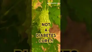 Think This Bitter Veggie Can Cure Diabetes? Think Again! #facts #health #healthfacts