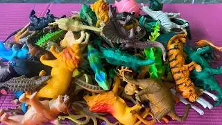 ASMR Review Animal and Dinosaur Toys | Satisfying Taping and Droping