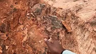 Bowl of Fire Sandstone #USA