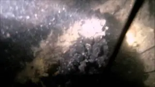 plong&eacute;e dans la Manche &eacute;pave du 