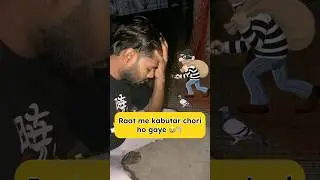 Raat mein kabutar chori ho gaye 😭🕊️ #pigeon #kabootarloft05 #minivlog #petlover #bird #vlog