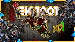 EK 1001 Hunt Solo Bulltaur Lair 6.8kk/h Raw + 1.5kk Profit - Tibia Hunt [15.03] #tibia #tibiahunt