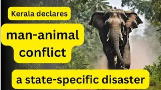 Kerala declares man-animal conflict a state-specific disaster | current affairs | Vijay Kshirsagar