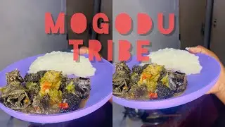 Cooking Tribe the easy way (Mogodu)