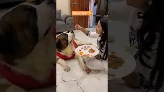 Bhaidooj celebration with my giant baby ❤️🧿