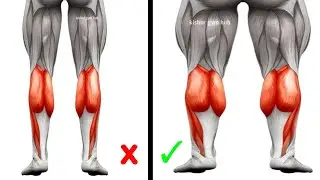 &ldquo;Build Bigger Calves With These 6 Effective Workouts&rdquo;