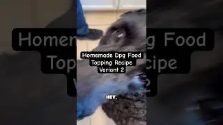 EASY Homemade Dog Food Topper (Turkey & Oats Recipe) | Healthy Dog Freezer Meal Short