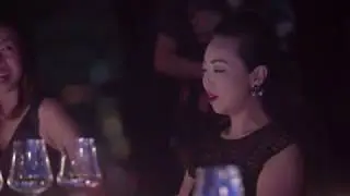 Stellar at 1-Altitude Presents The Pl&eacute;nitude Suite