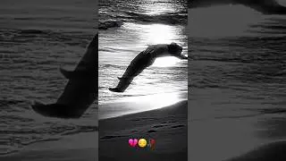 Mehrab alvida Sad song 💔😔🥀| Sad video | sadness | Broken video Status | Sad video