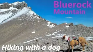 Bluerock Mountain - Hiking with a Dog in the Sheep River