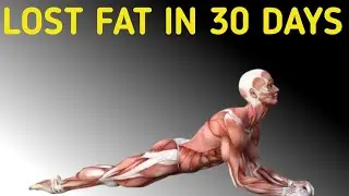 Plank Exercise for Fat Loss Science Explained | Fitness Vita | 