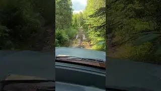Looking For Grouse