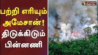 பற்றி எரியும் அமேசான்: திடுக்கிடும் பின்னணி | Amazon rainforest fire | Brazil's Amazon fires