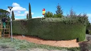 PODA DE SETO