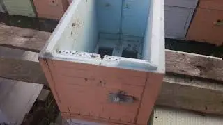 6 им рамочные универсальные нуксеусы  из ЭППС  враг номер 1