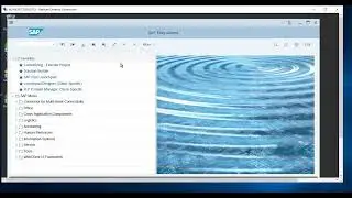 Изменение темы оформления SAPGUI SAP LOGON SAP Signature