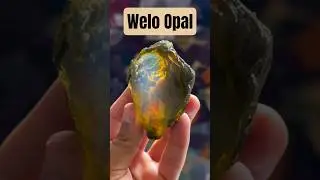 There is an entire Galaxy inside this Welo Opal #opal #gemstone #crystals