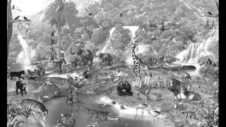 Jungle Safari Poem