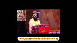 श्री मिथिलेशनन्दिनी शरण जी द्वारा श्रीआद्यशंकराचार्य के अवदान का स्मरण ---