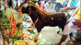 Ambati Tirupathirao Gollachaduvu 17/02/2025 Ramakrishnapuram ph 9398948864