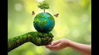 Time to Go Green? Solar Power Boom, Circular Economy Rise: Sustainability Trends in 2024-2030