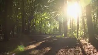 Walking on Soft Grass | Peaceful Footstep Sounds for Deep Relaxation
